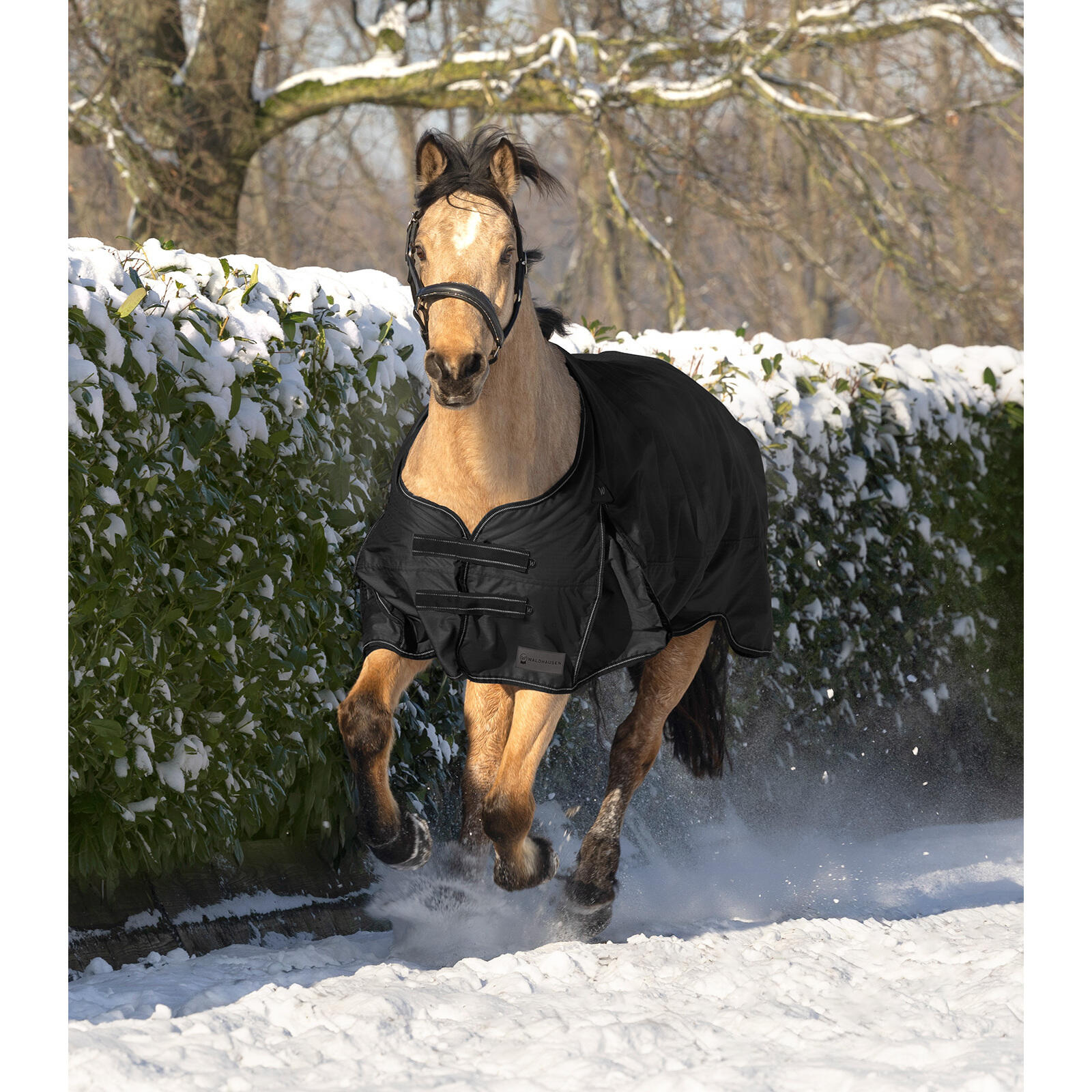 Manta de exterior para caballos Waldhausen Arctic 100g 3/4