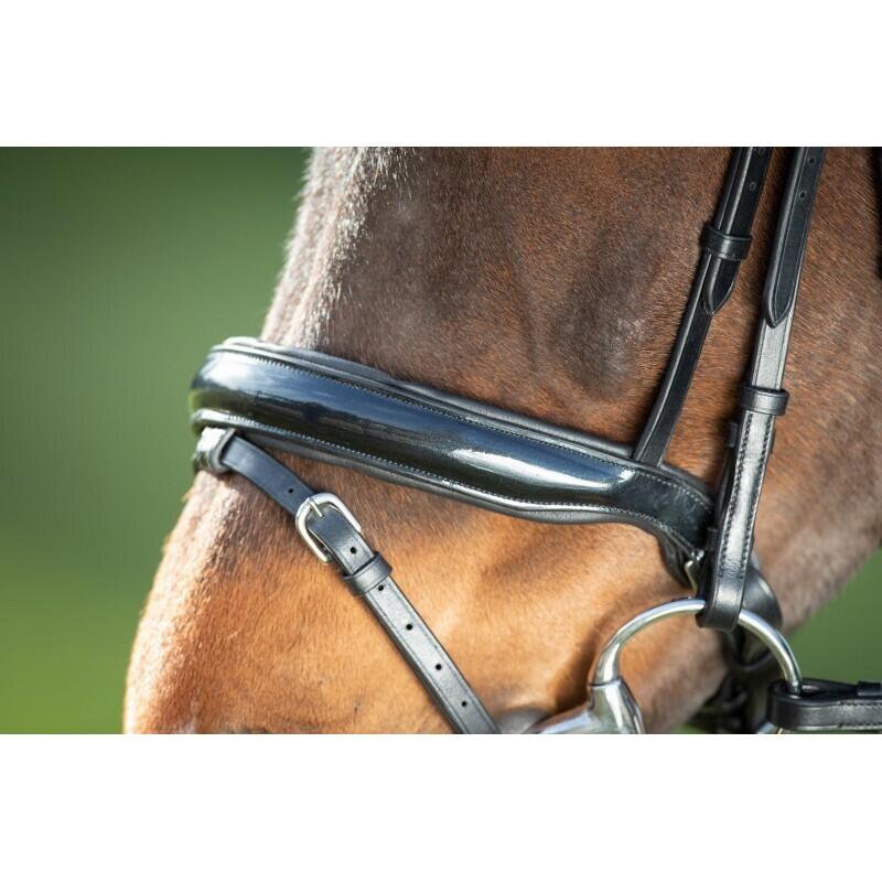 Bridas de equitación HFI Shiny 3/5