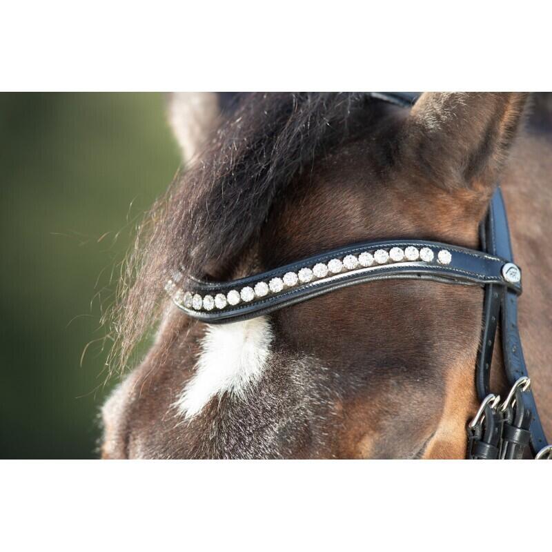 Bridas de equitación HFI Shiny 5/5
