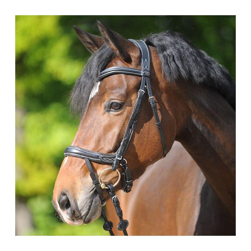 Bridas de equitación Kavalkade Ivy Plus 2/4