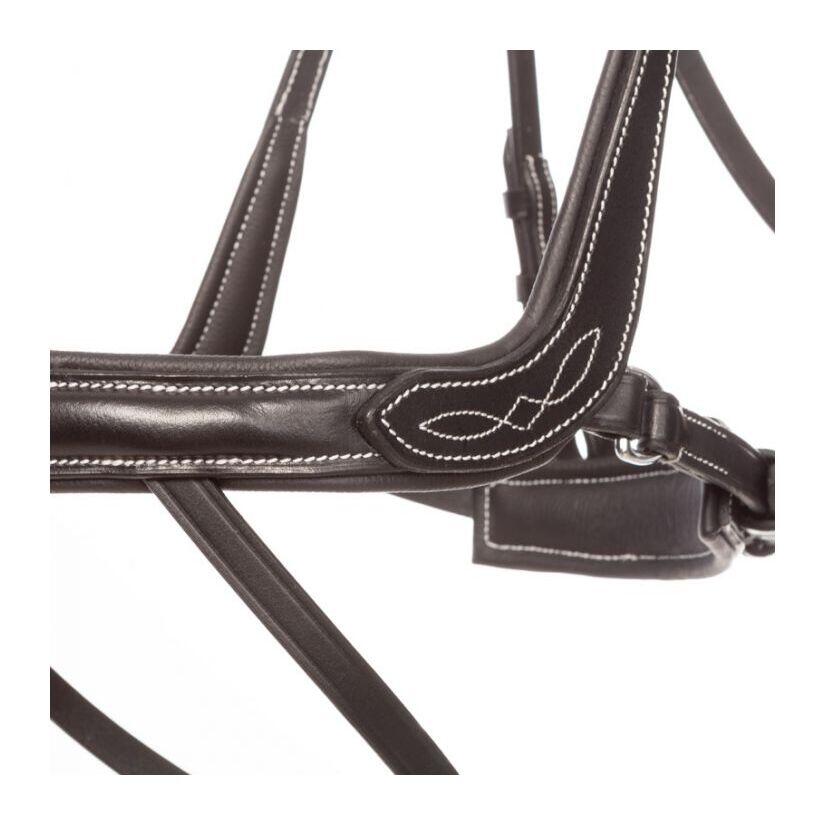 Bridas de equitación Kavalkade Ivy Plus 4/4
