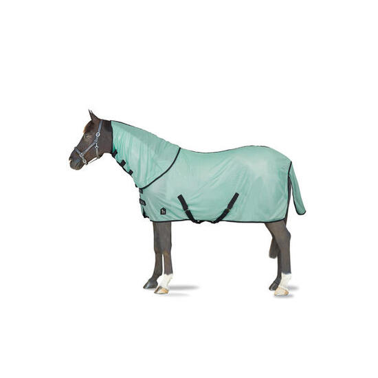 Couverture d'extérieur pour cheval avec col amovible et protection UV Horze Paso