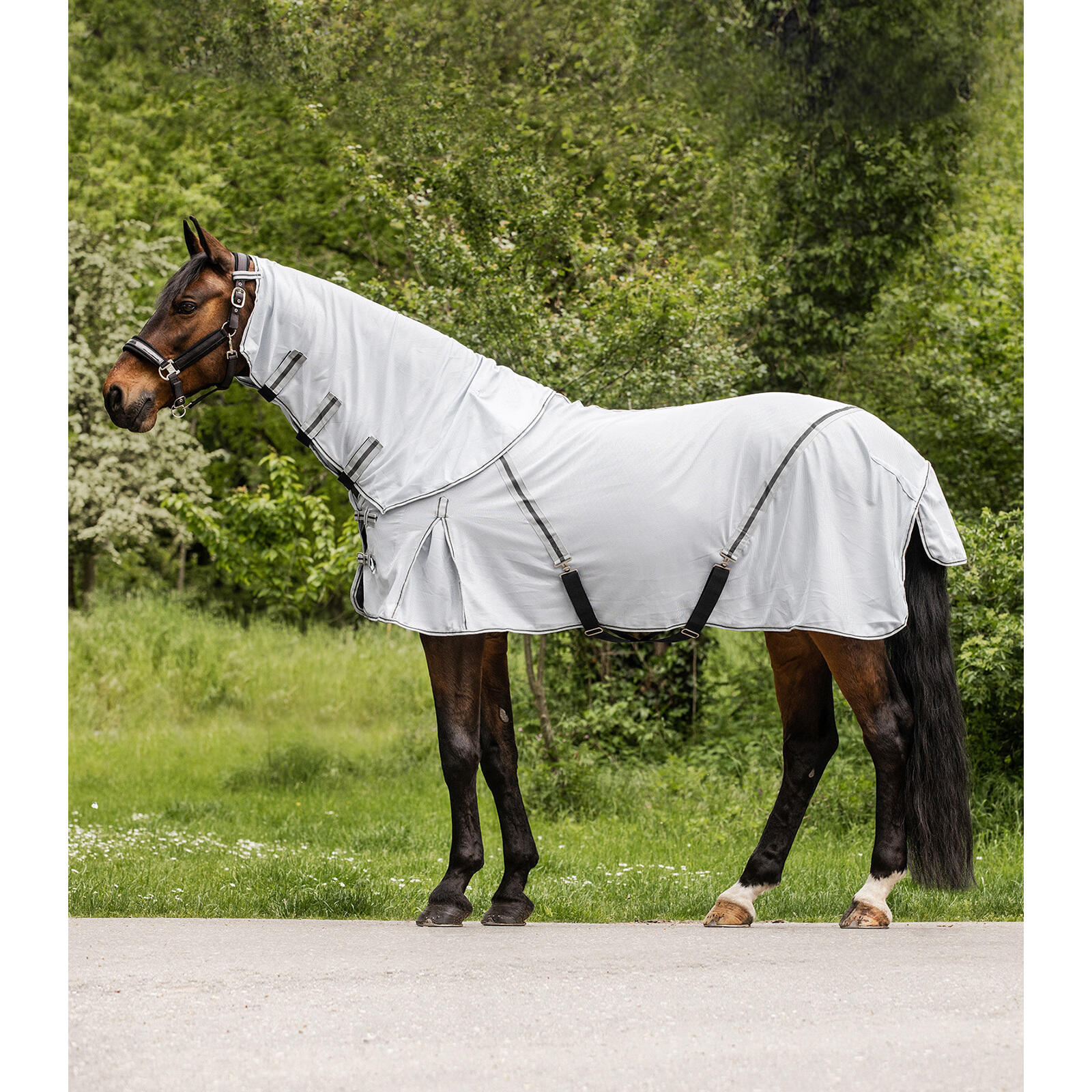 Waldhausen - Couverture Anti-mouches Pour Cheval Avec Encolure Amovible Waldhausen Protect - Couverture Cheval - Gris - 145 Cm - Decathlon