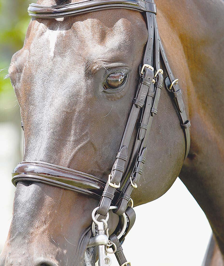 Briglie per cavalli con punte e browband verniciati Tattini 3/3