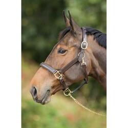 Licol en cuir doublé pour cheval HFI Raised