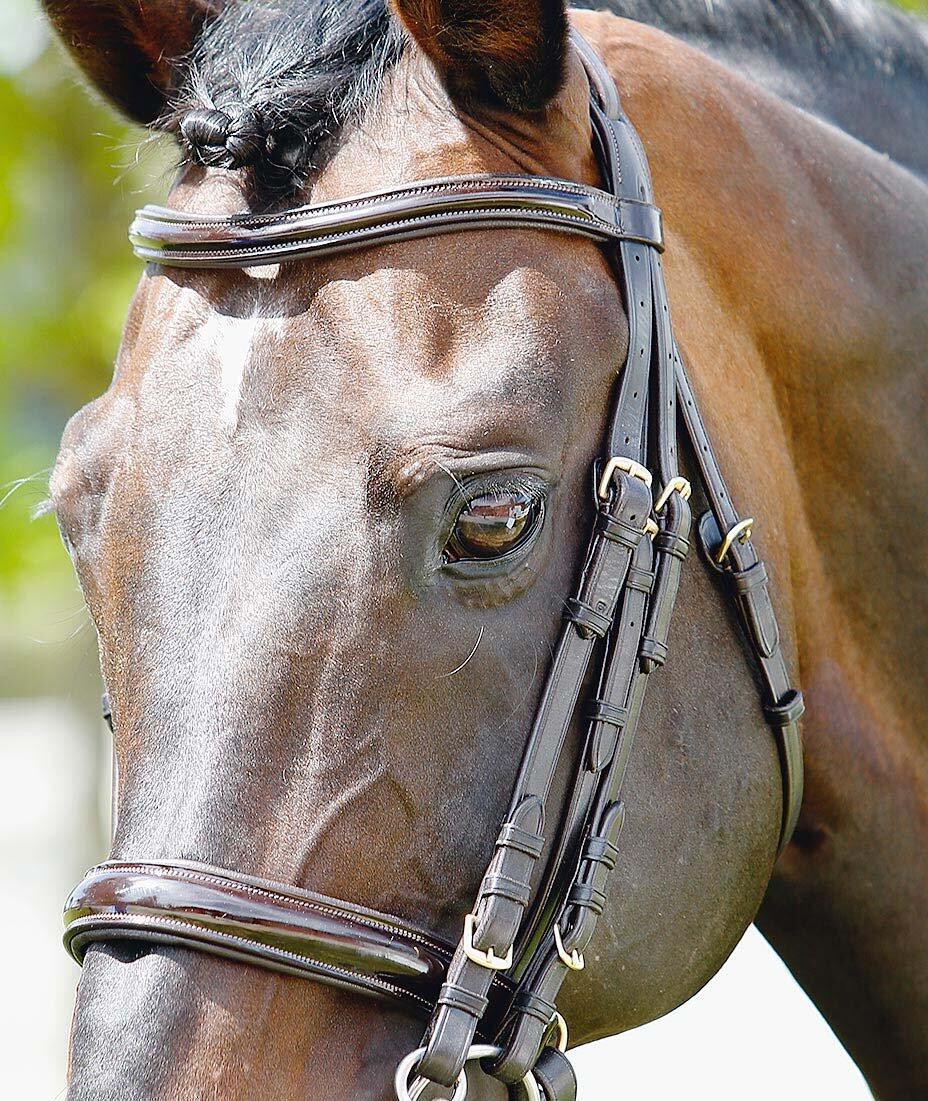 Briglie per cavalli con punte e browband verniciati Tattini 2/3