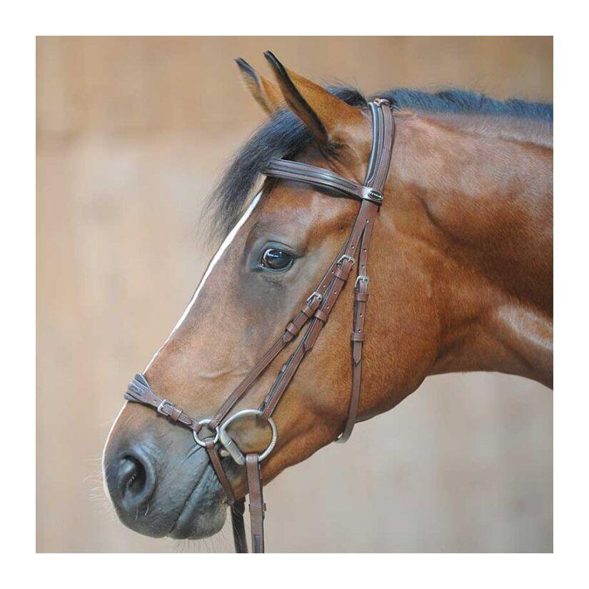 Riding bridles Kavalkade Levana