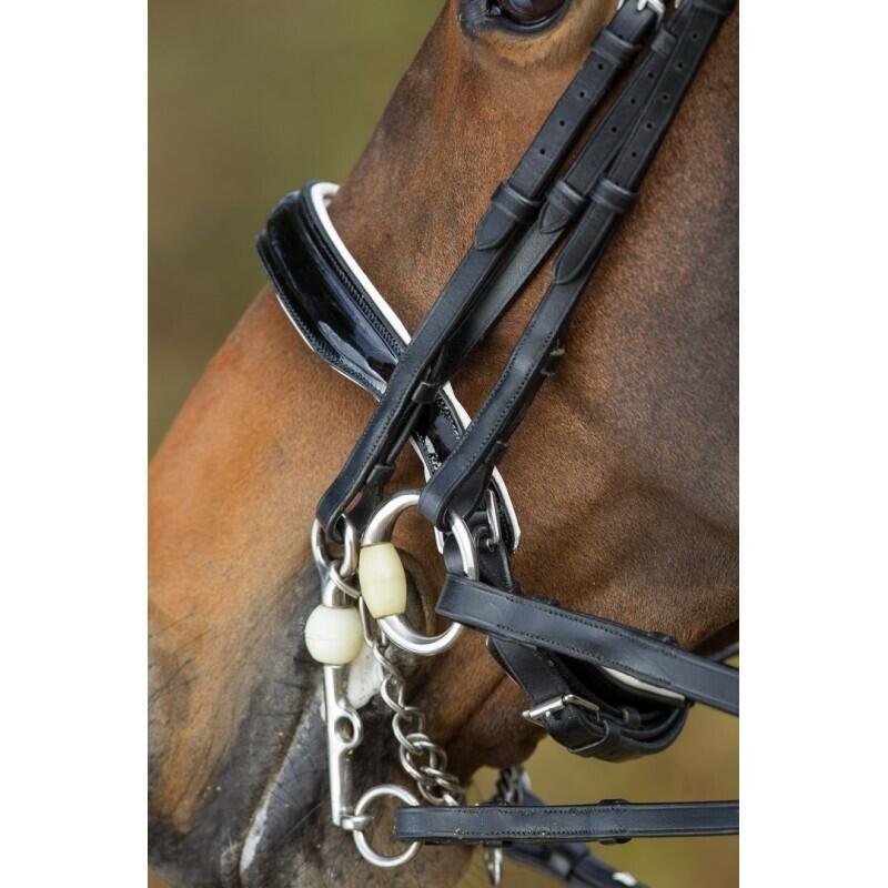Trensen Reiten HFI Weymouth 2/4