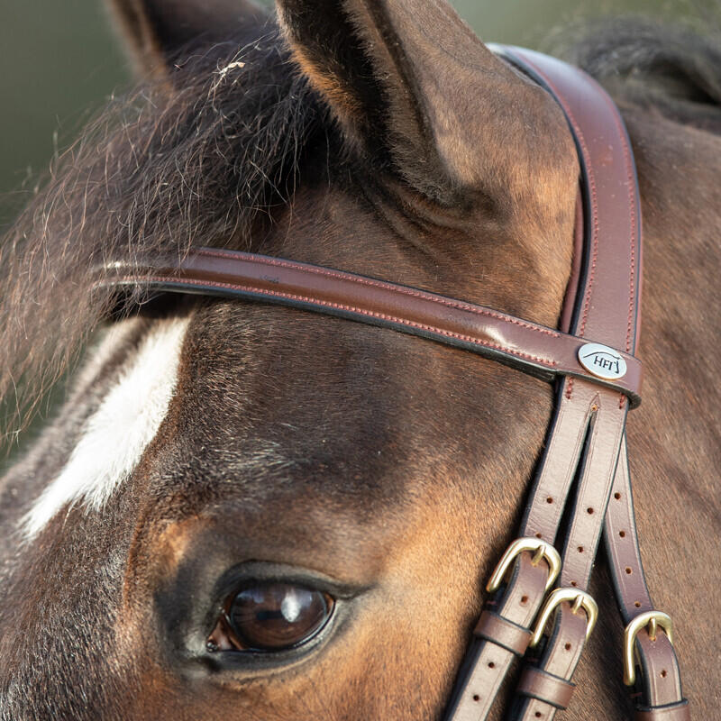 Bridas de equitación HFI Regular 3/4