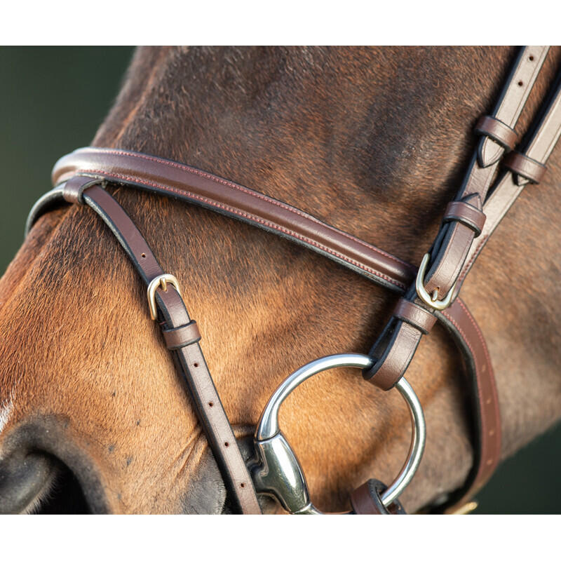 Bridas de equitación HFI Regular 2/4