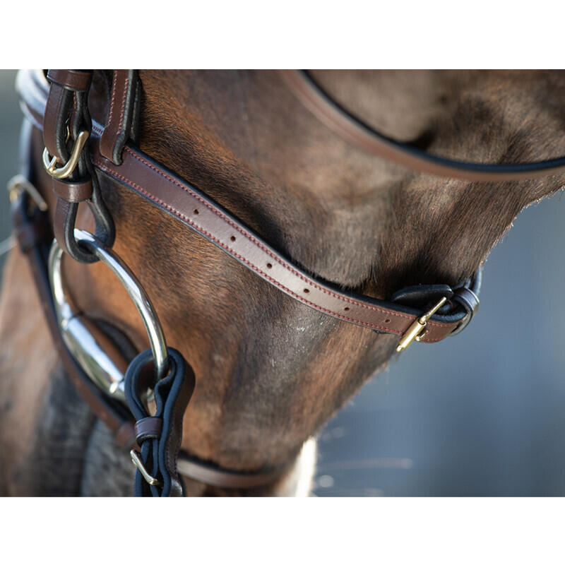 Bridas de equitación HFI Regular 4/4