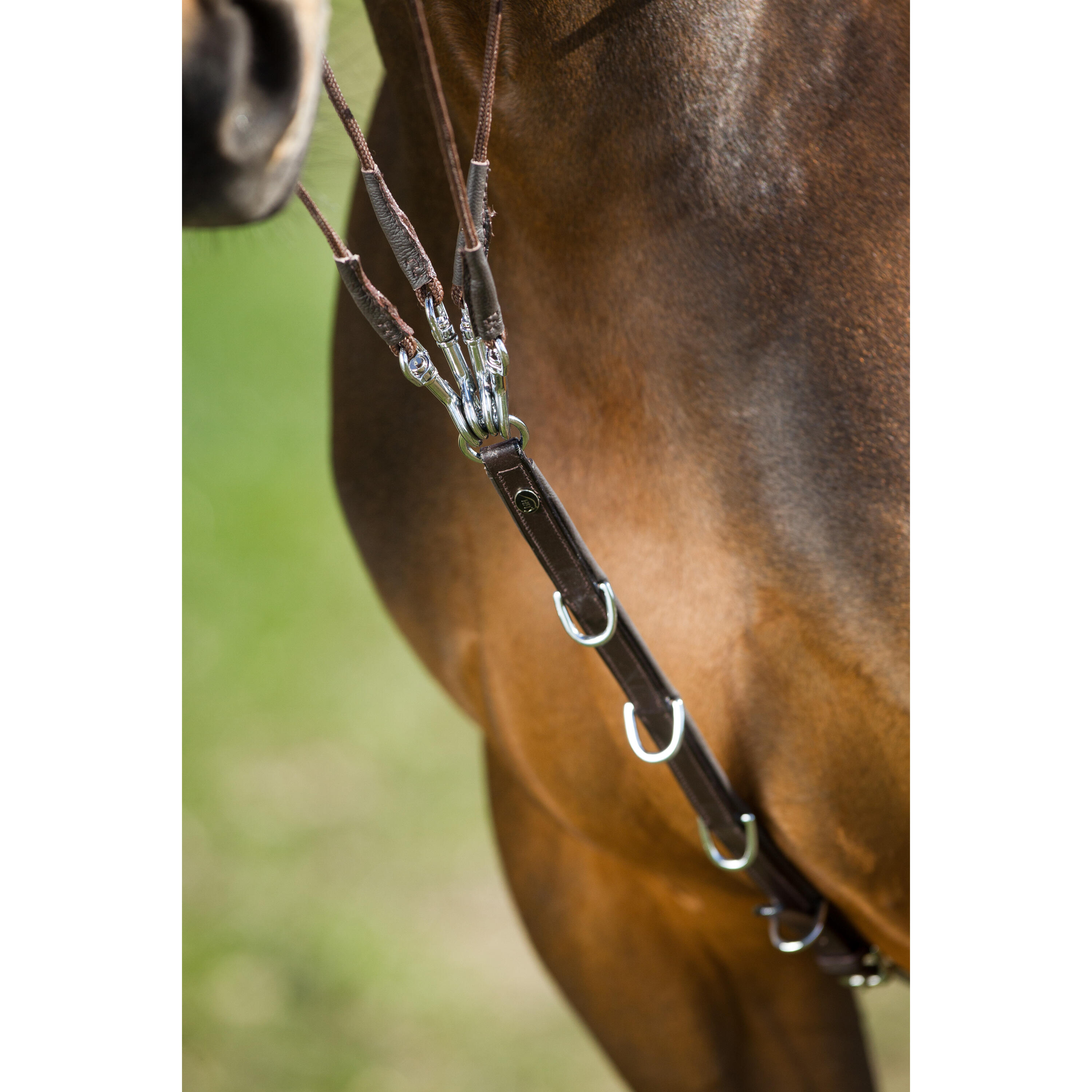 Gogue para caballos HFI 2/2