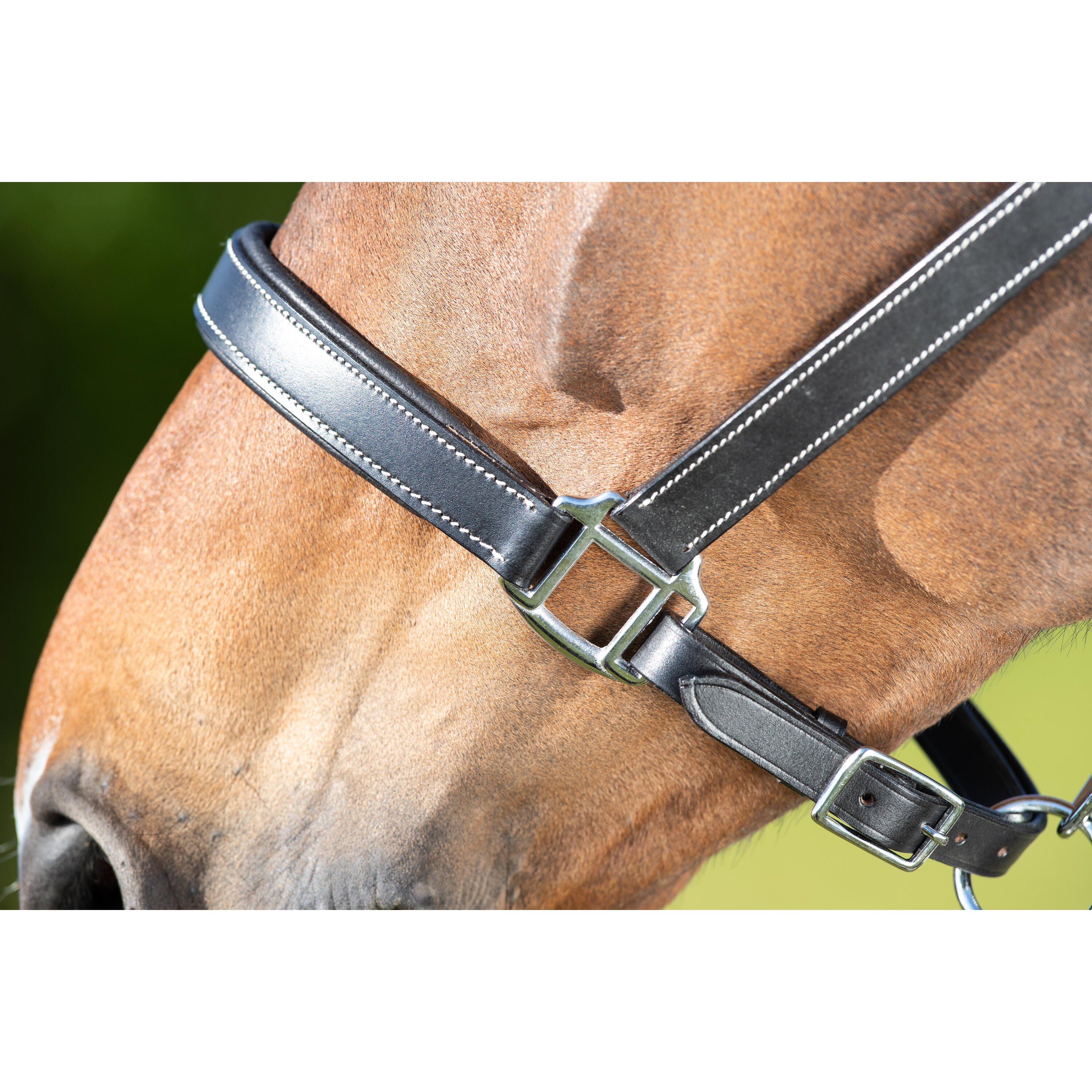 Cabezada para caballos HFI Flat 2/2
