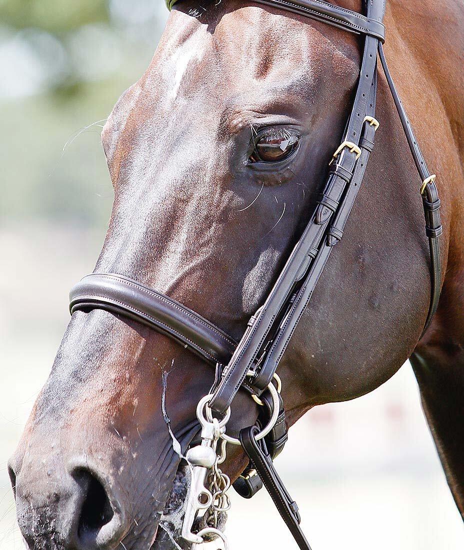 Briglie Snaffle Tattini 3/3