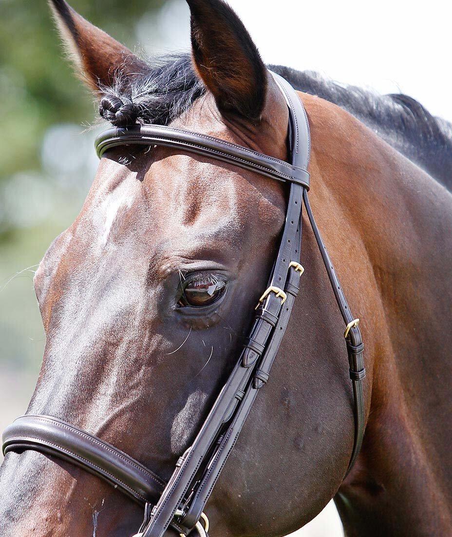 Briglie Snaffle Tattini 2/3