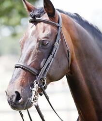 Bridons pour cheval mors et filet Tattini