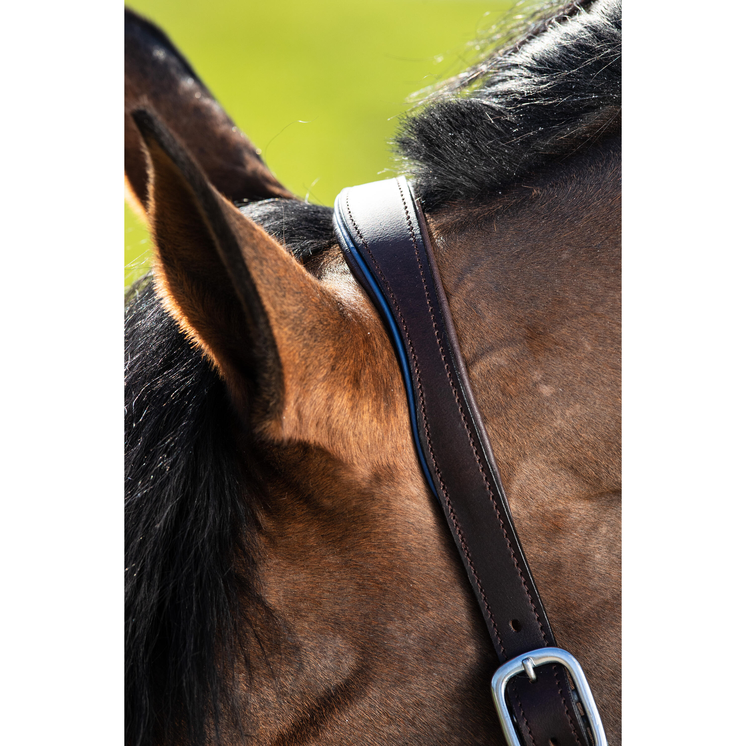 Cabezada de cuero para caballos HFI Two-Tone 2/2