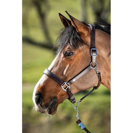 Licol en cuir pour cheval HFI Two-Tone