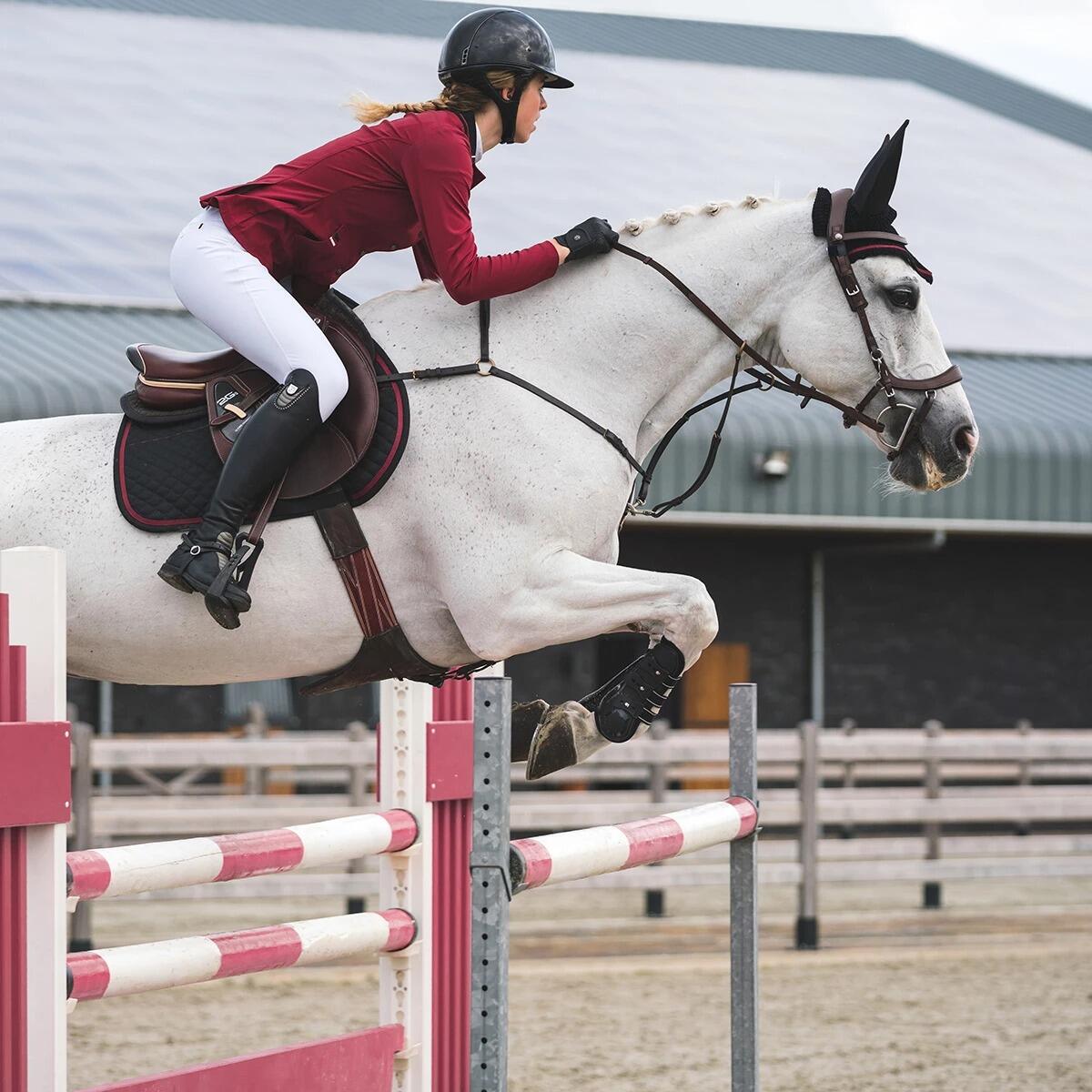 Briglie da equitazione Presteq Faysport 3/3