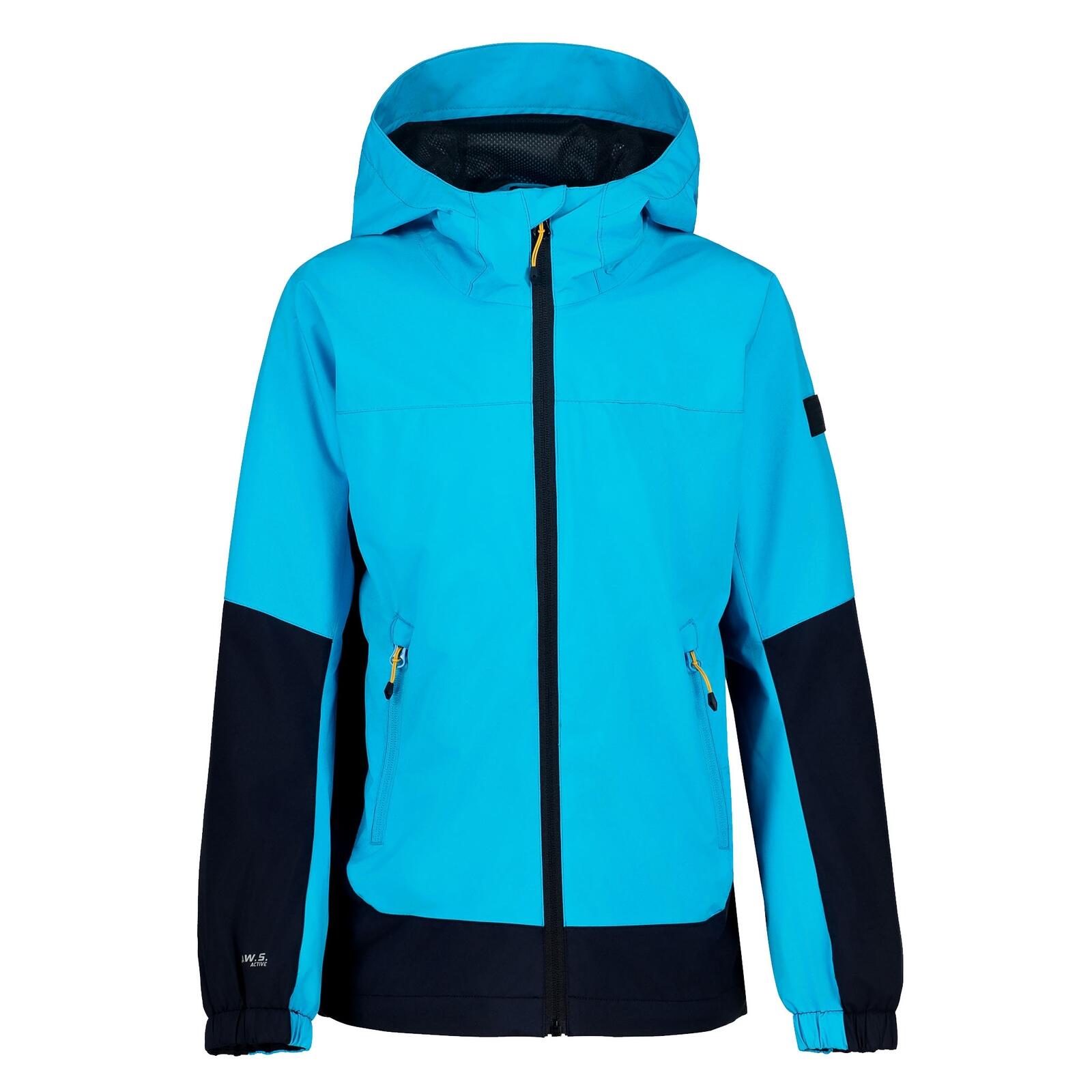 ICEPEAK picture