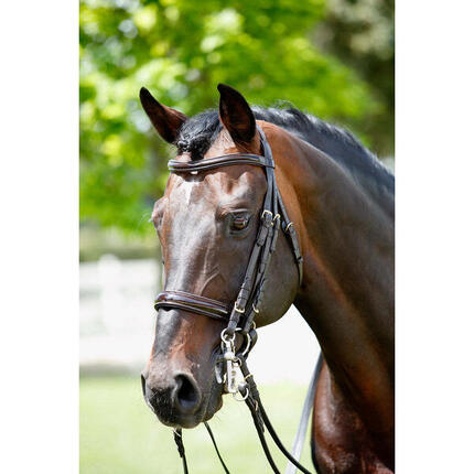 Bridons pour cheval mors et filet frontal vernis Tattini