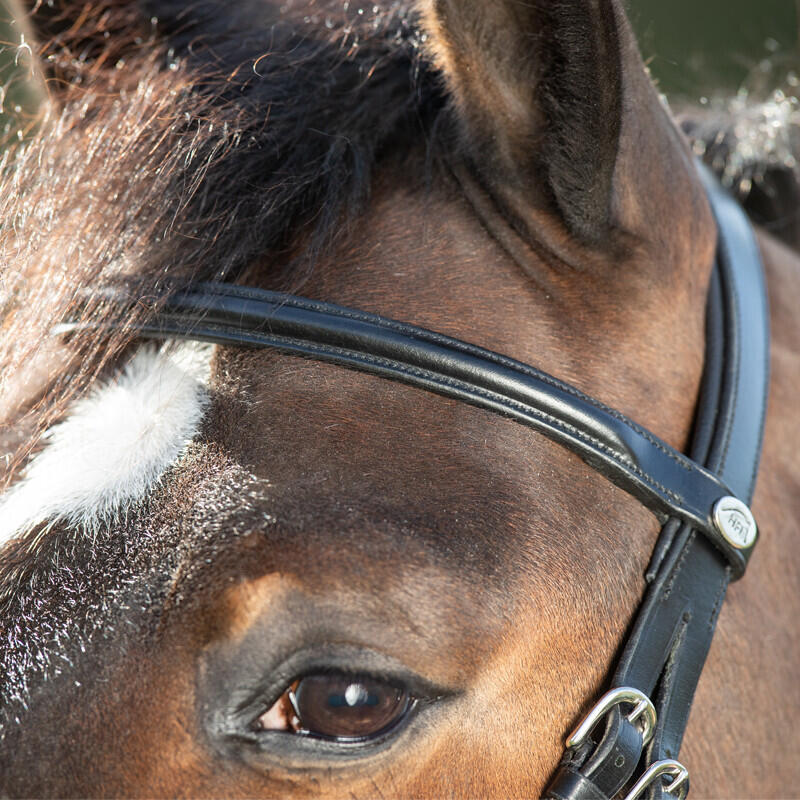 Bridons équitation HFI Regular 4/4