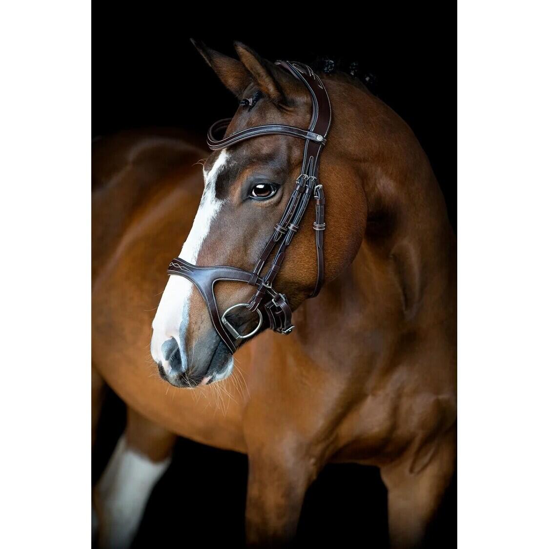 Briglie da equitazione in pelle vegana Montar Monarch Jumping ECO 5/5