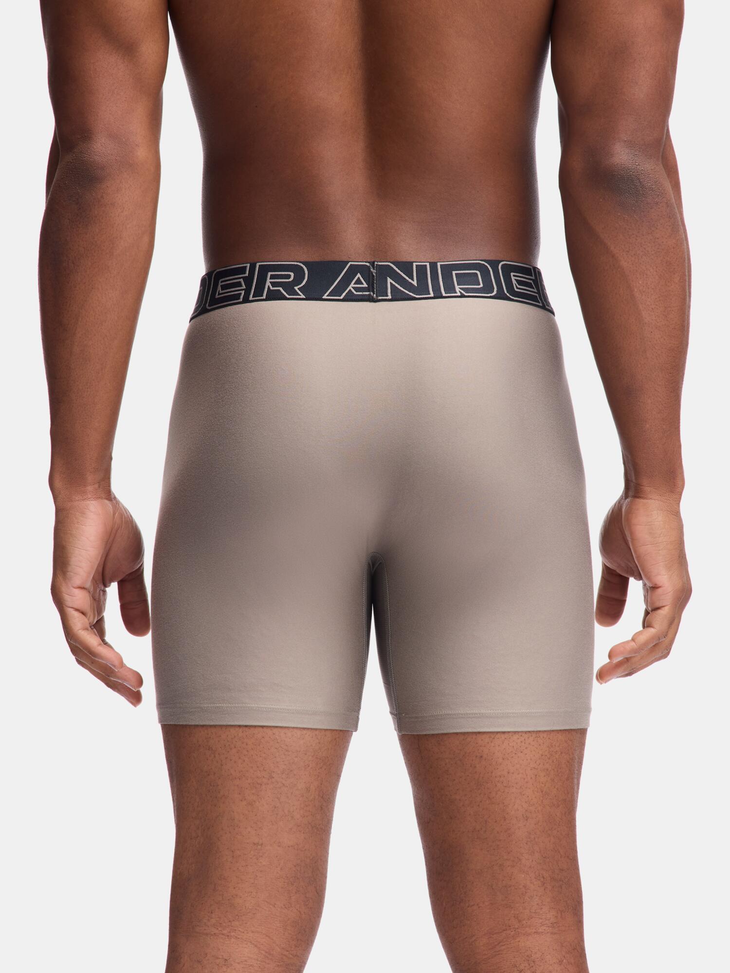 Bokserki Herren Under Armour Performance Tech 6in 3/3