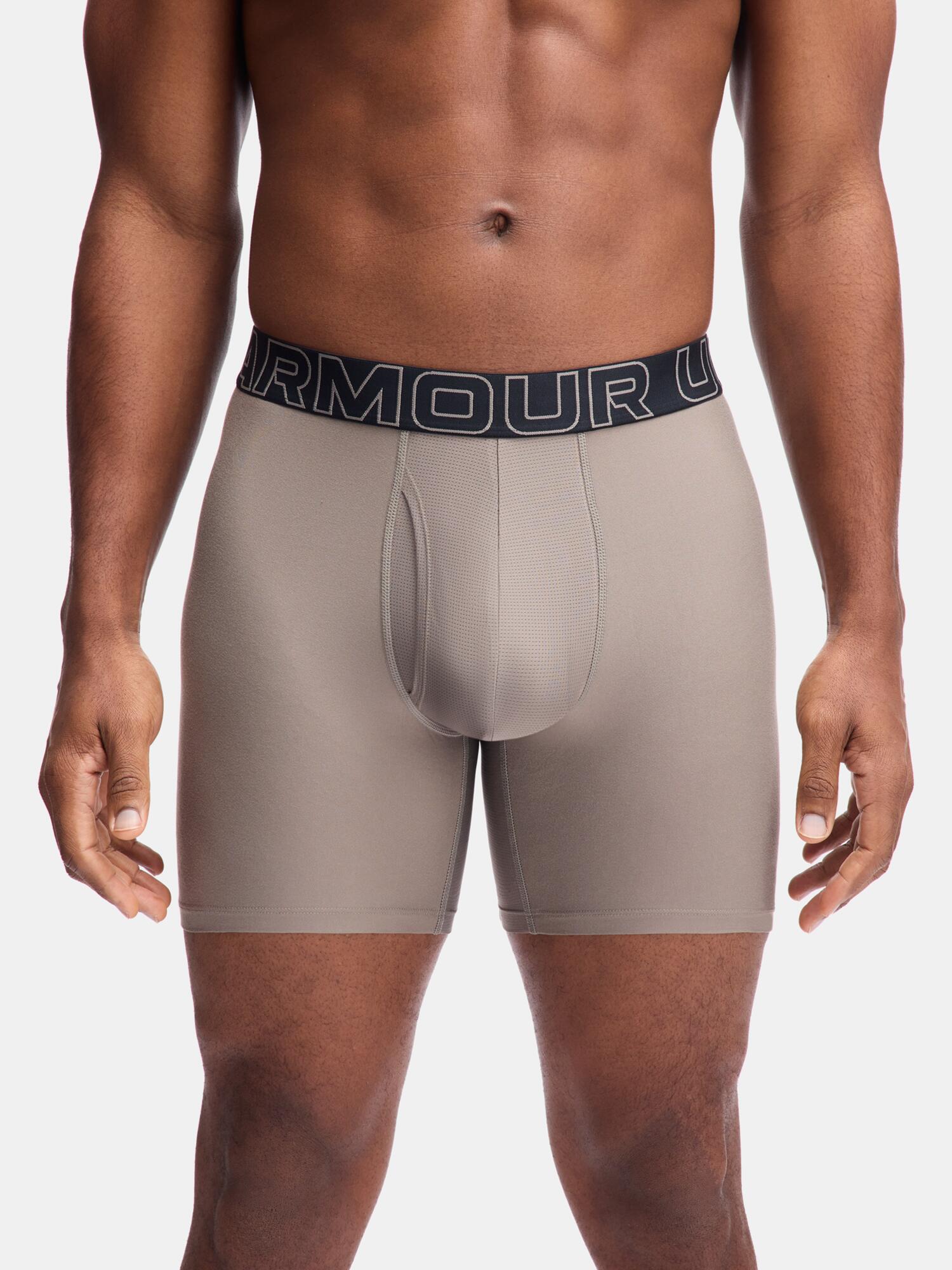 Bokserki Herren Under Armour Performance Tech 6in 2/3