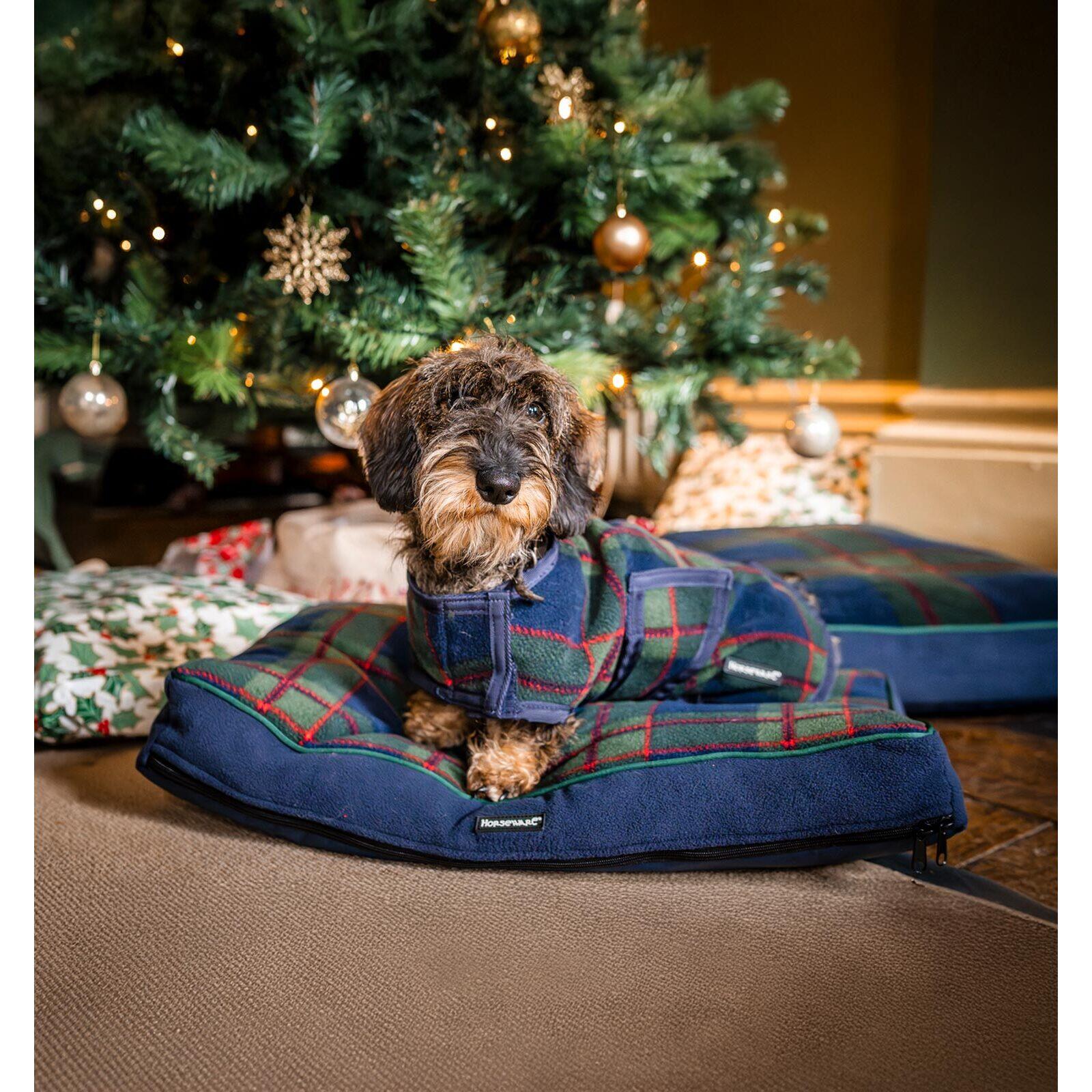 Horseware Ireland - Tapis Pour Chien Horseware Newmarket - Tapis Pour Chien - Bleu - 40 M - Decathlon