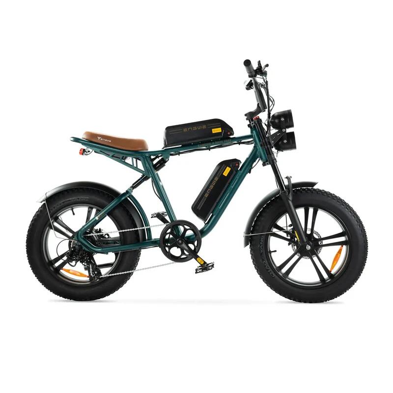 M20 – Dubbele Accu, 250Watt motorvermogen, topsnelheid 25 km/u 2/7