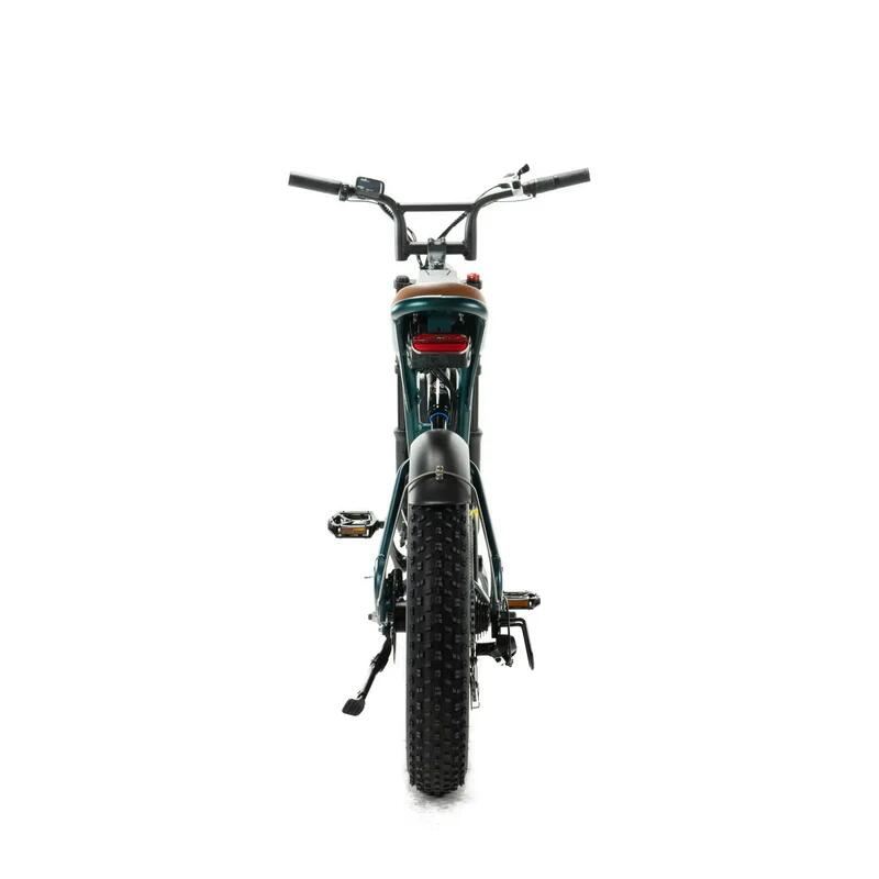 M20 – Dubbele Accu, 250Watt motorvermogen, topsnelheid 25 km/u 4/7