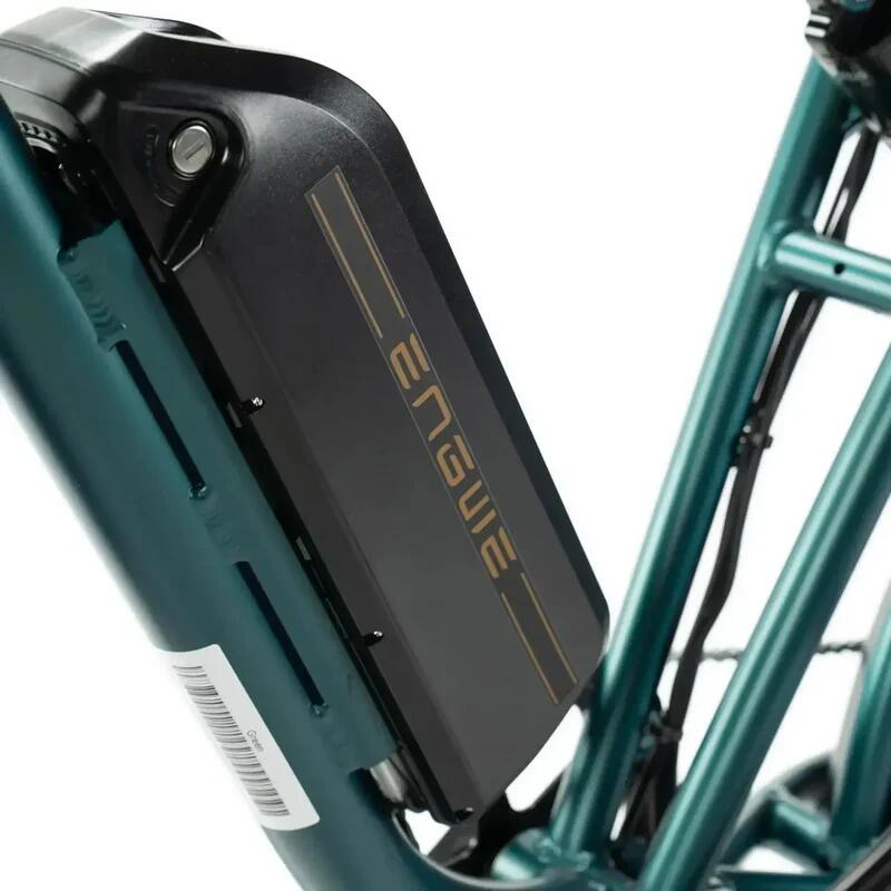 Engwe M20 E-bike 250Watt motor power, top speed 25 km/h, 20-inch tires 4/7