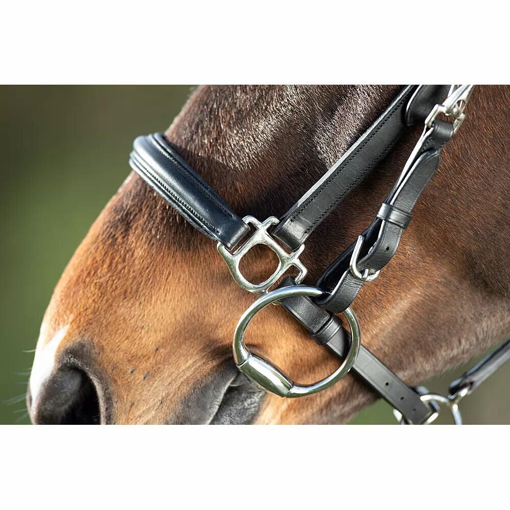 Bridas de equitación HFI Combo 2/4