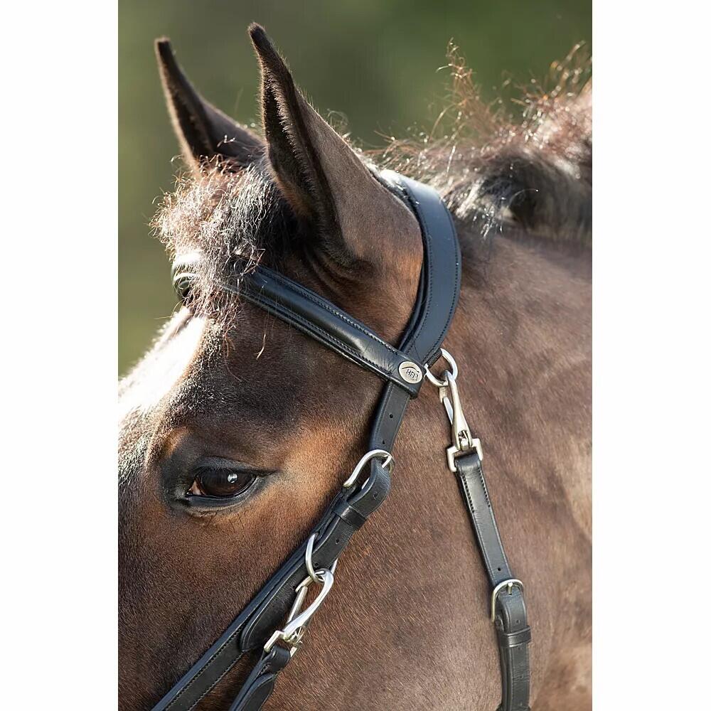 Bridas de equitación HFI Combo 4/4