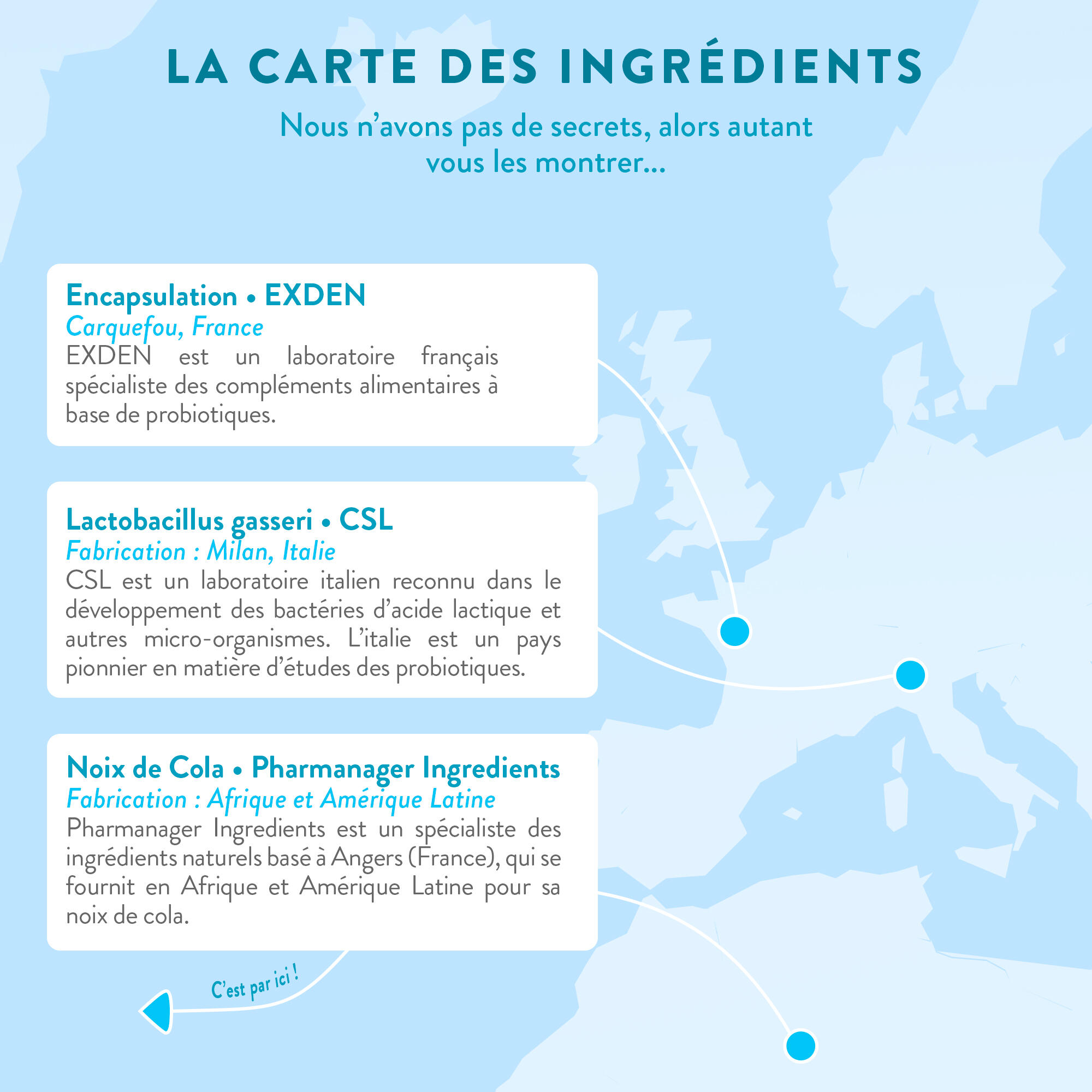 Lactobacillus Gasseri - Digestion Minceur et Ventre plat - 60 gélules 4/6