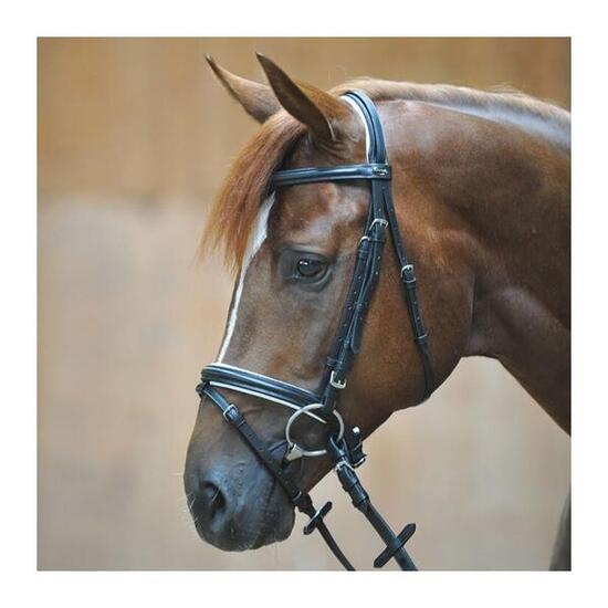 Bridons équitation Kavalkade Quentin