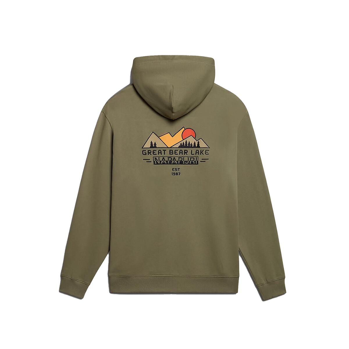 Napapijri Unisex Hoodie Boyd grün 4/4