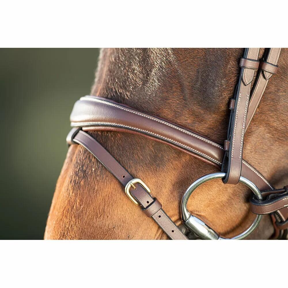 Bridas de equitación HFI Technical 3/4