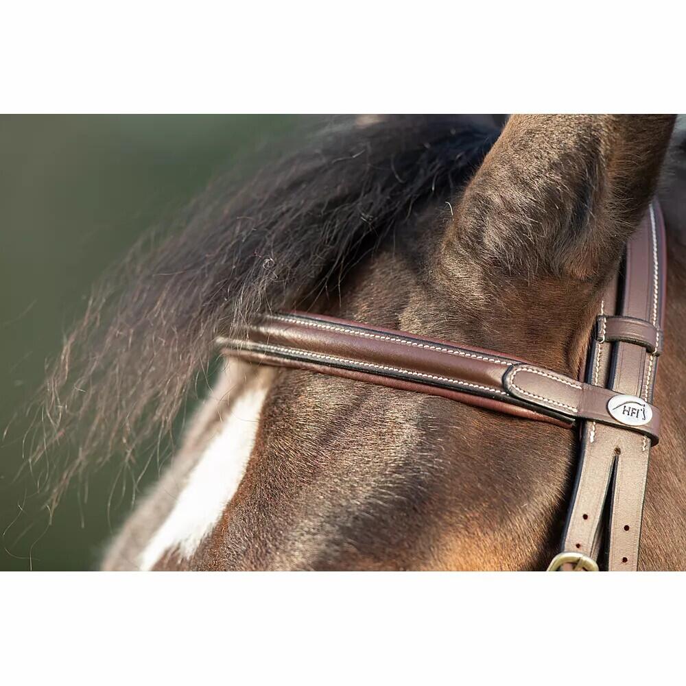 Bridas de equitación HFI Technical 4/4