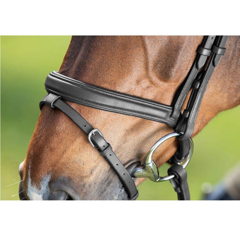 Zaumzeug Reiten HFI Soft 2/5