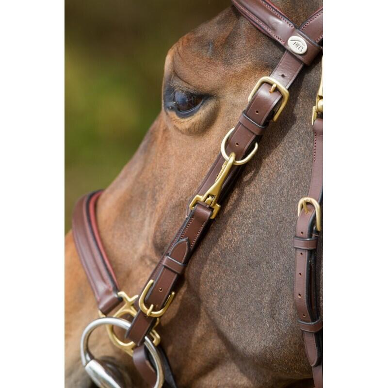 Bridas de equitación HFI Combo 2/3