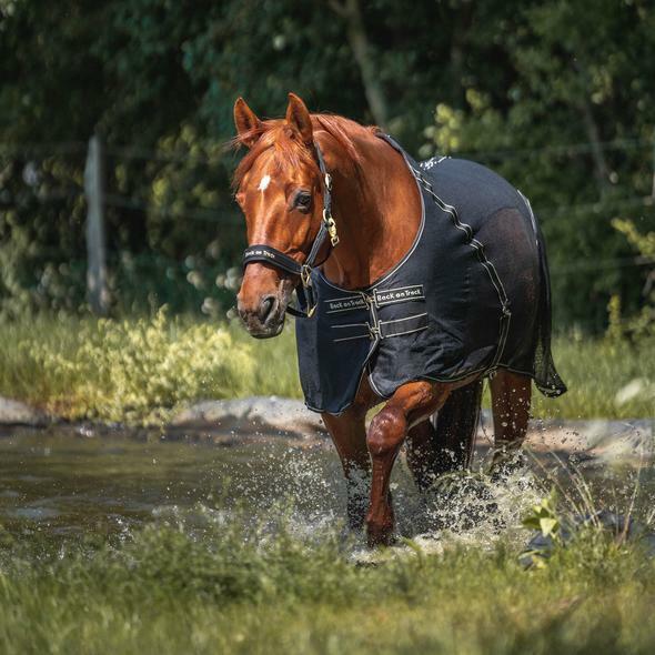 Paardenhemd Back on Track sienna 2/5