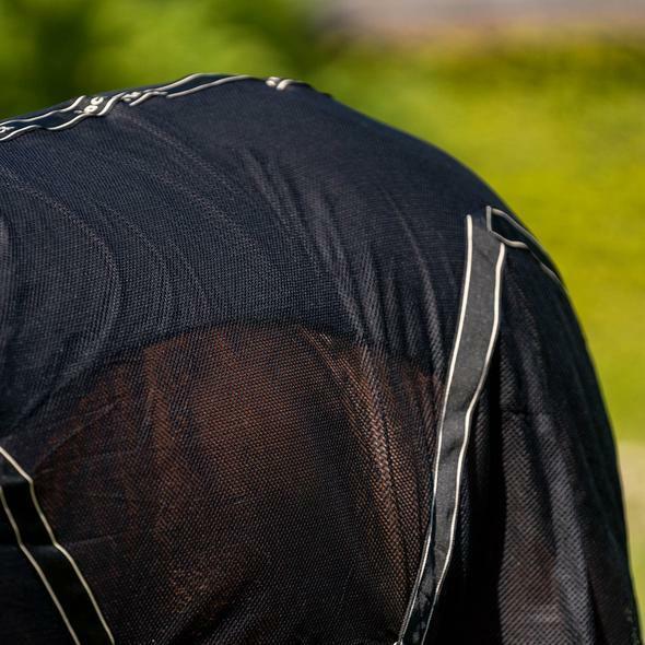 Paardenhemd Back on Track sienna 5/5