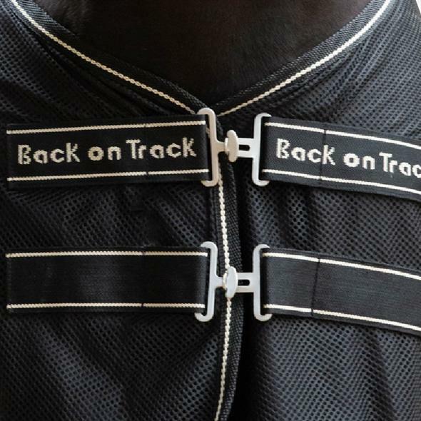 Paardenhemd Back on Track sienna 4/5