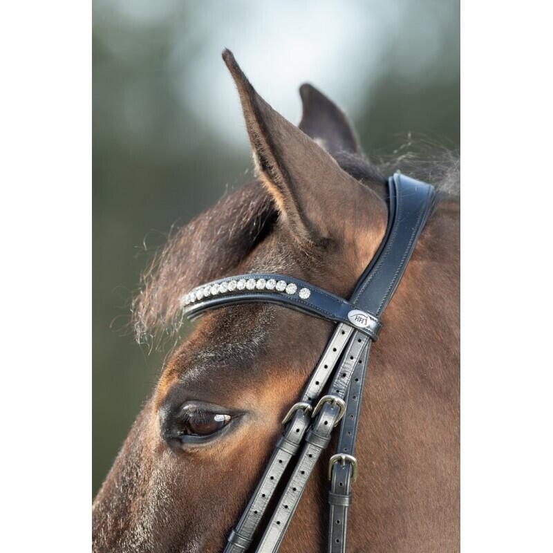 Bridas de equitación HFI Shiny 2/5