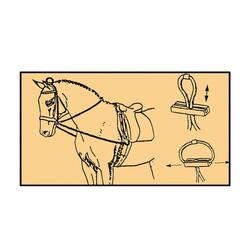 Enrênement élastique pour cheval Tattini