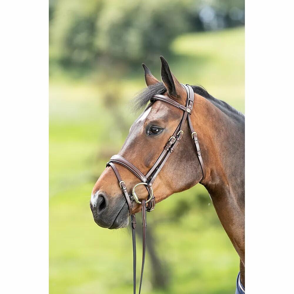 Bridas de equitación HFI Technical 2/4
