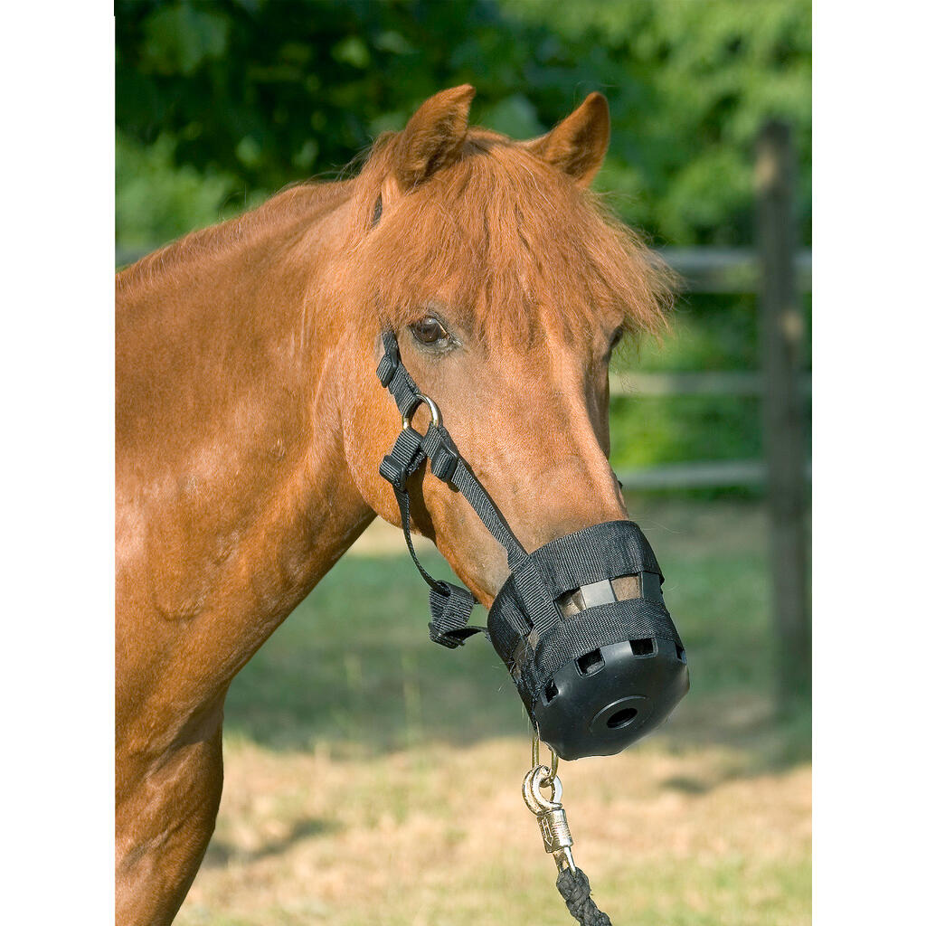 Polyamide horse muzzle with rubber and straps USG