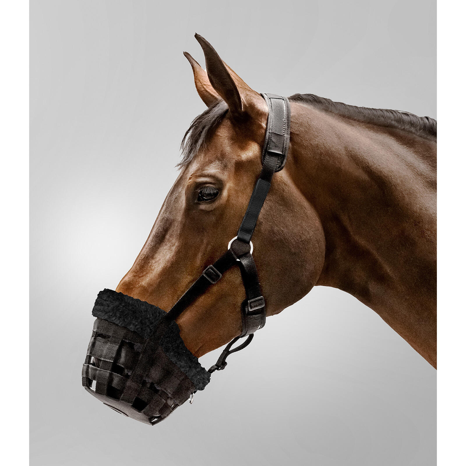 Waldhausen - Muselière Pour Cheval Confort Waldhausen - Licol - Noir - Fs - Decathlon
